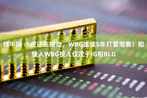 锦牛网 小虎还在蠕动，WBG连续5年打冒泡赛！知情人WBG投入仅次于IG和BLG